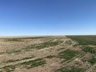Yeomans Kit Carson County Online Auction