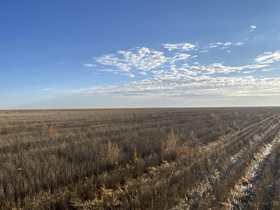 Renlund 160 acre Dryland farm
