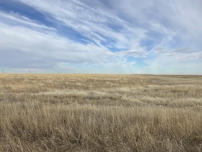 Cheyenne County Expired CRP