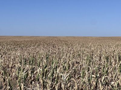 Auction High Production Flagler Colorado Farmland