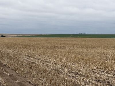 Premier Thomas County, KS Cropland Opportunity 2017K