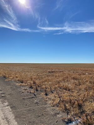 Frances Heinz Dryland Farm
