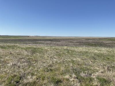 Repriced 310 Acres of CRP – Kit Carson County, Colorado | Asphalt Frontage | $9,800 Annual Payment