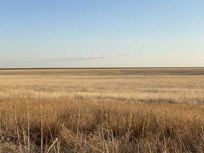 Cheyenne County CO Native Grass