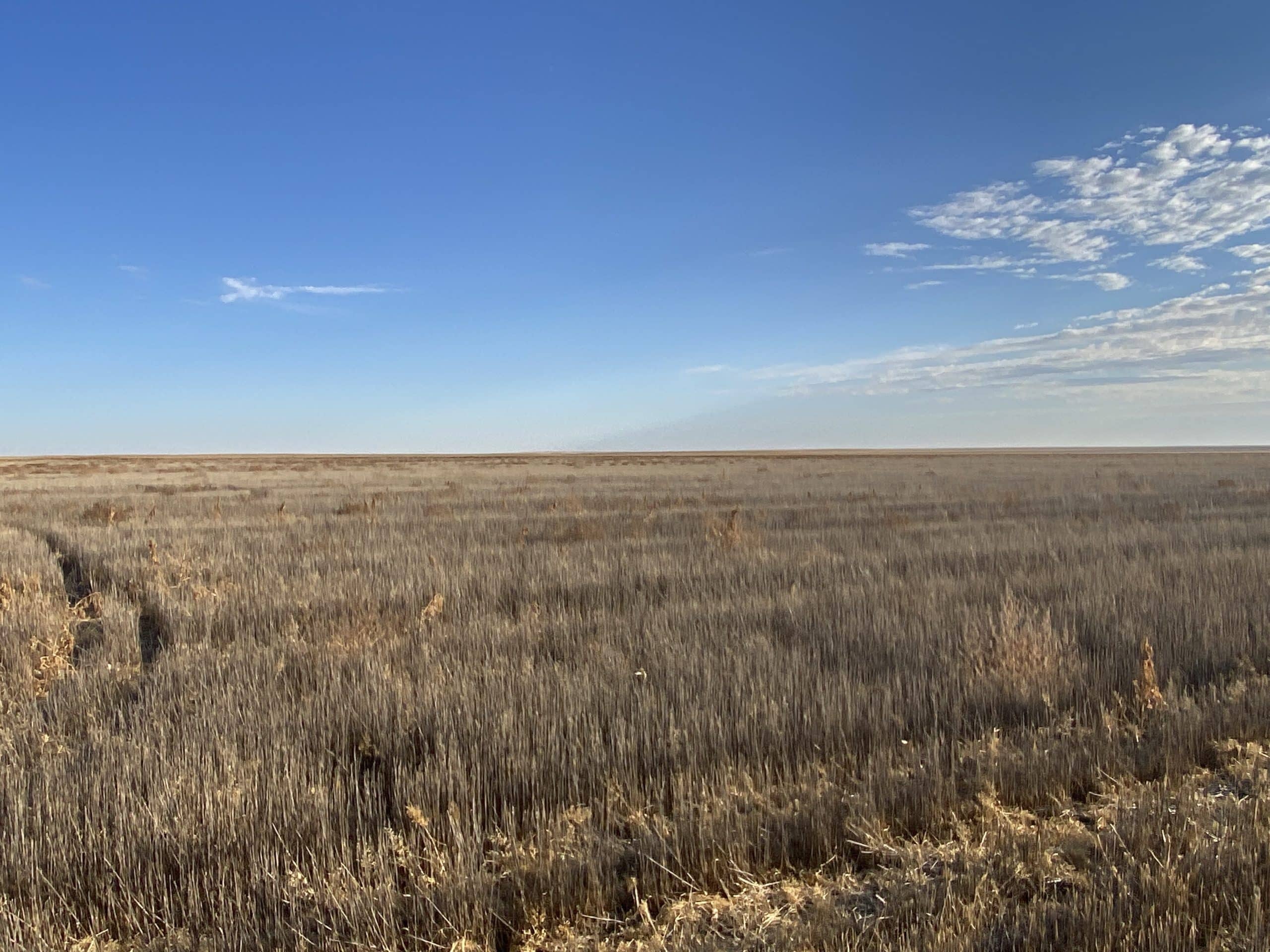 Renlund 160 acre Dryland farm - RXL Colorado | Rocking X Land Company Ltd.