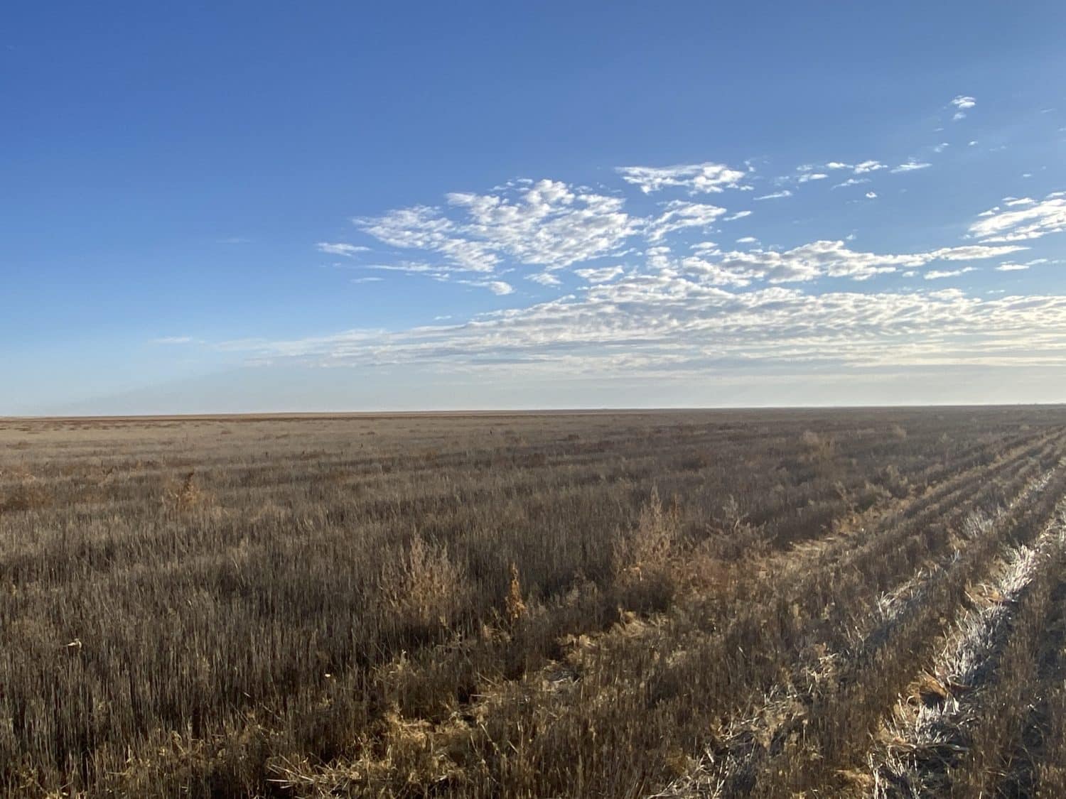 Renlund 160 acre Dryland farm - RXL Colorado | Rocking X Land Company Ltd.