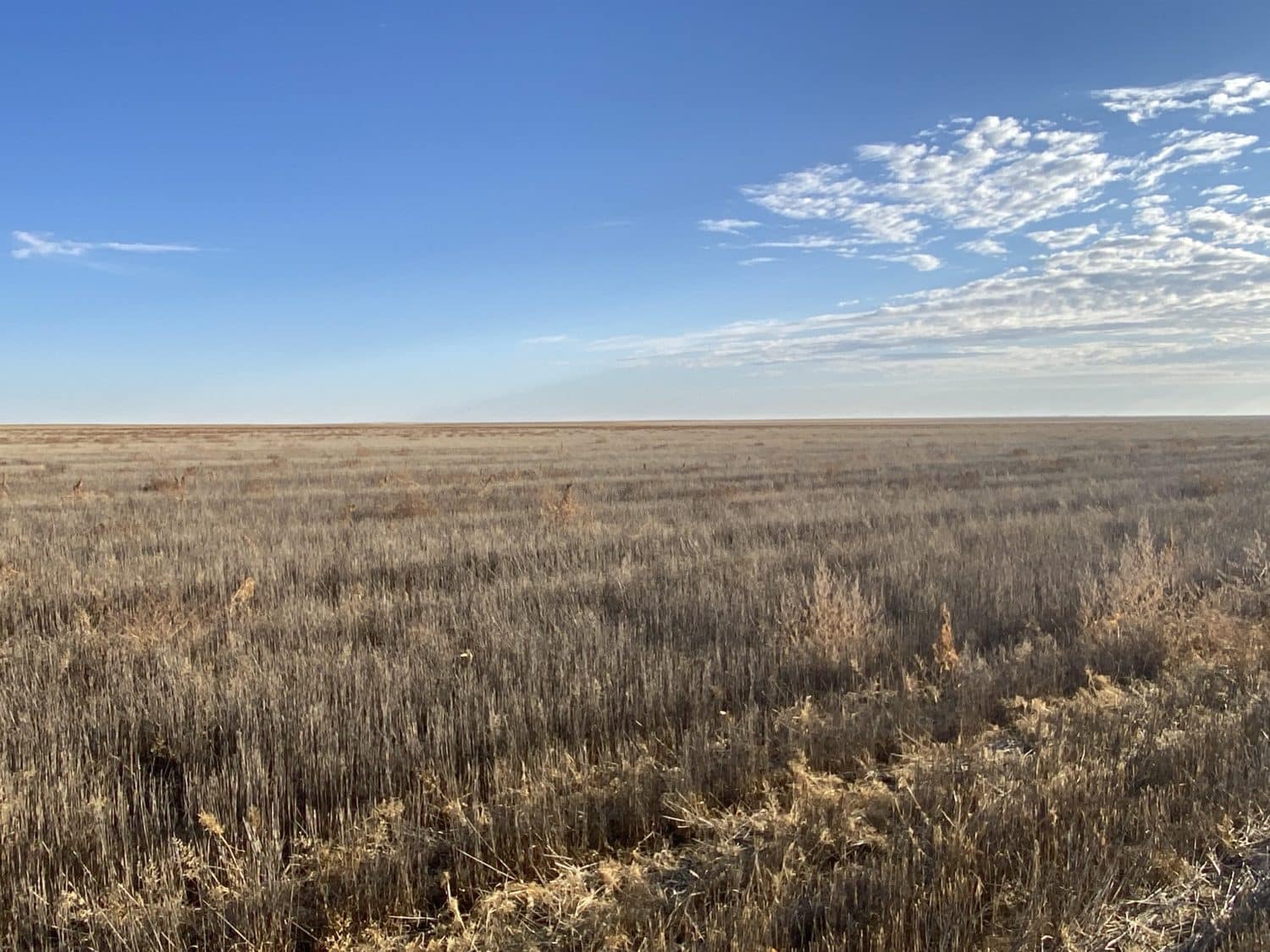 Renlund 160 acre Dryland farm - RXL Colorado | Rocking X Land Company Ltd.