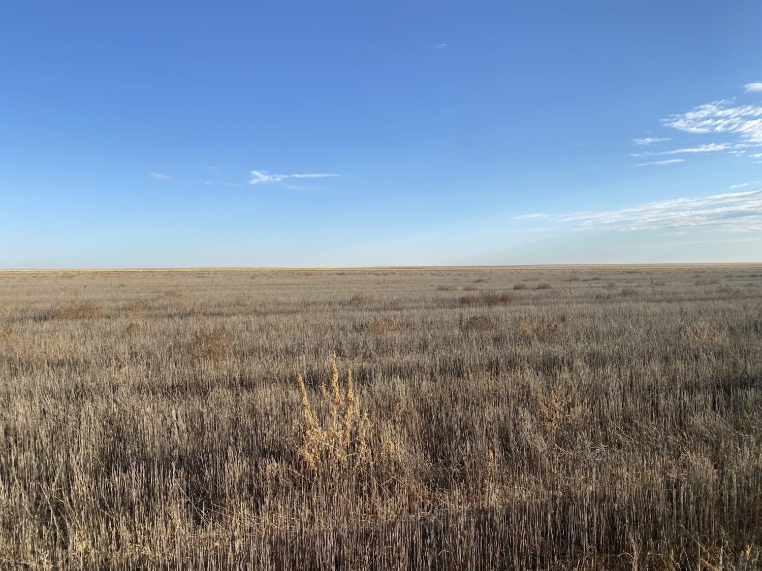 Renlund 160 acre Dryland farm - RXL Colorado | Rocking X Land Company Ltd.