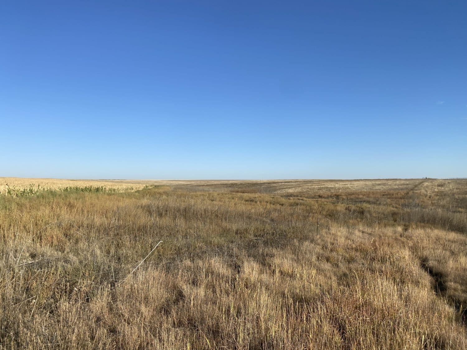 Renlund 160 acre Dryland farm - RXL Colorado | Rocking X Land Company Ltd.