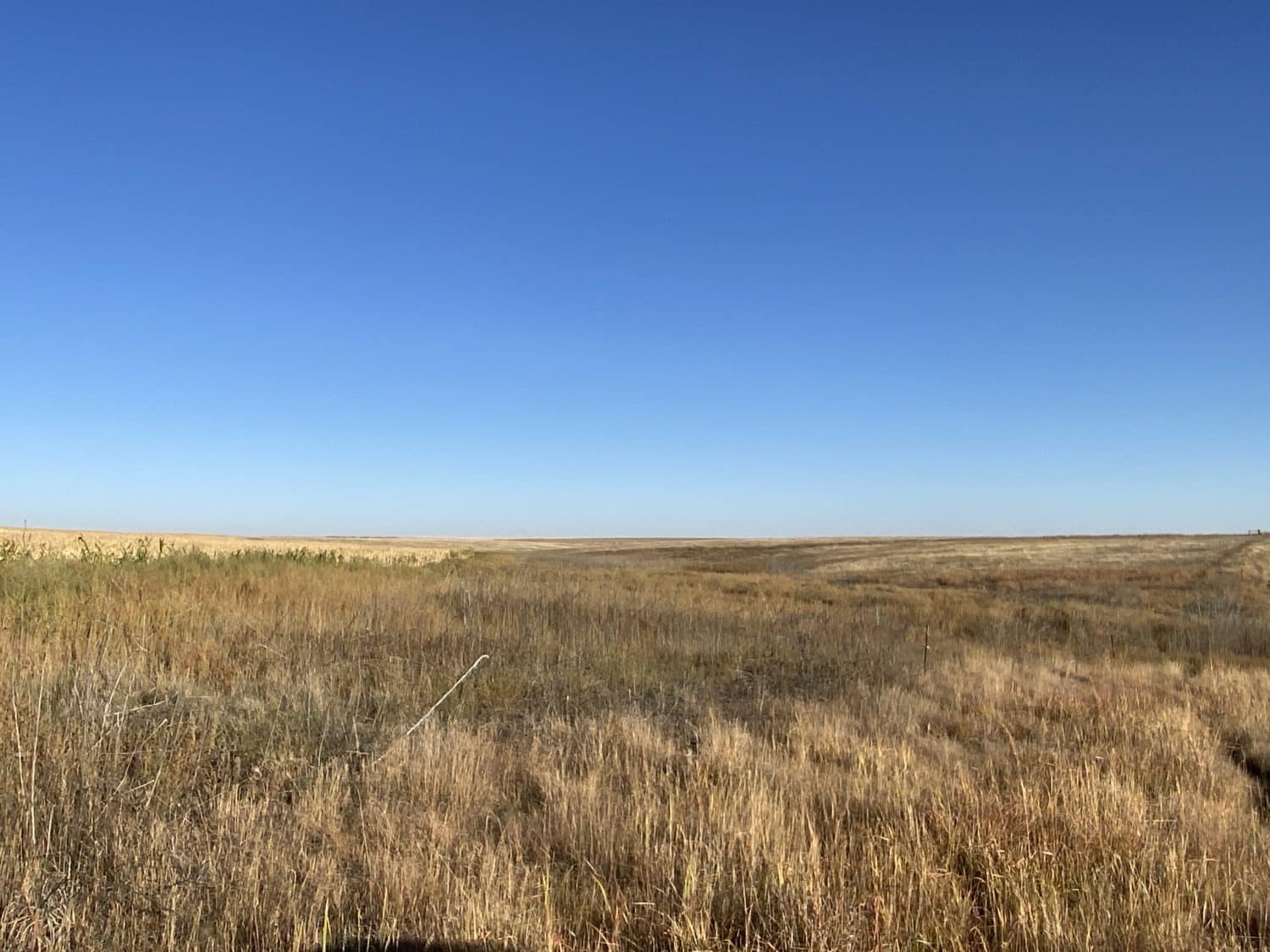 Renlund 160 acre Dryland farm - RXL Colorado | Rocking X Land Company Ltd.